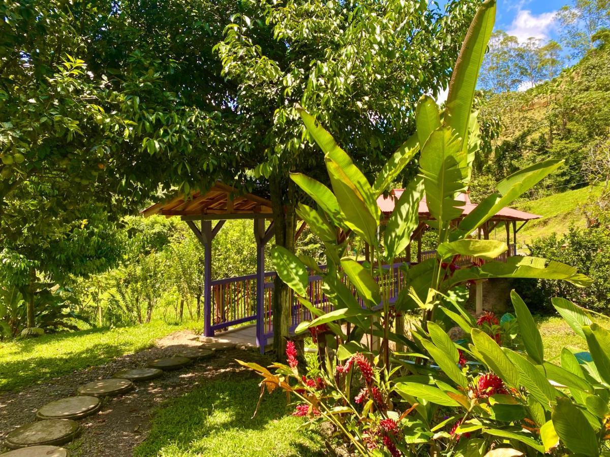 Hotel Campestre La Playa Betania Eksteriør billede