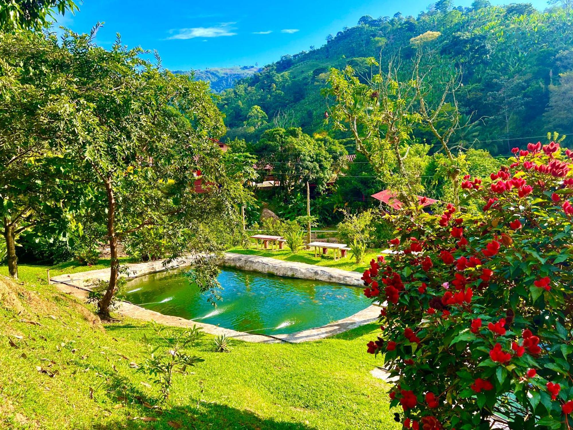 Hotel Campestre La Playa Betania Eksteriør billede